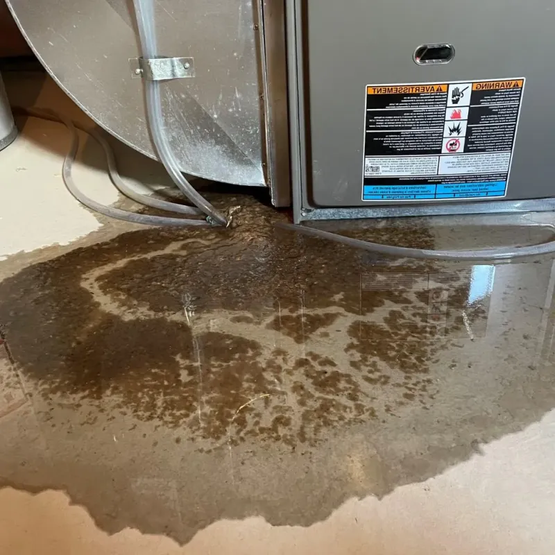 Pipe Burst and Leak Restoration in Murrysville, PA