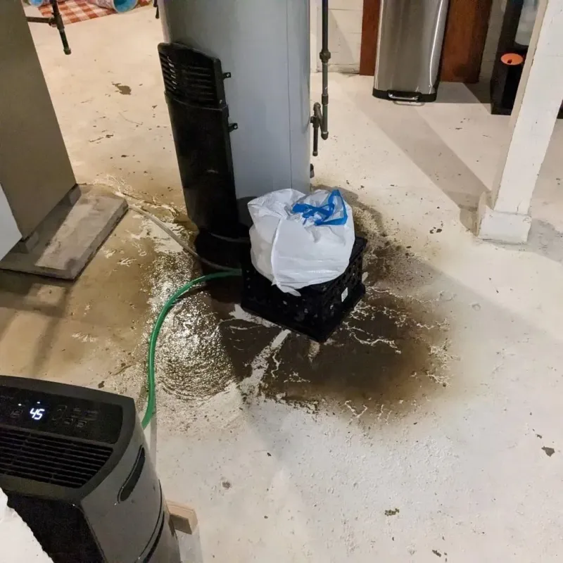 Sewage Backup Cleanup Service in Murrysville, PA